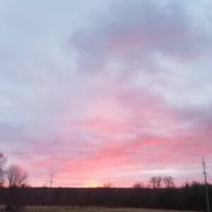 suefurlong220 avatar