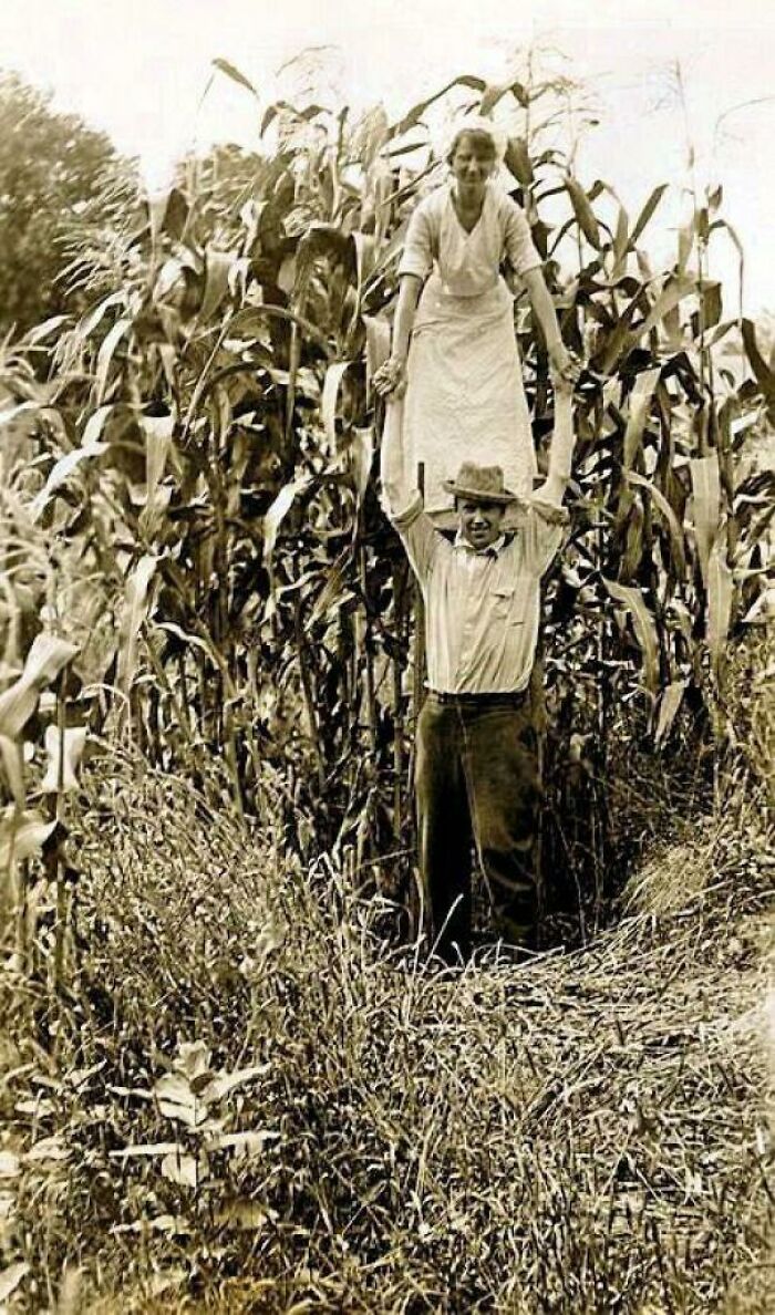 Woman Stands On A Farmer’s Shoulders To Emphasizes The Height Of Their Corn Crop, Minnesota, 1916