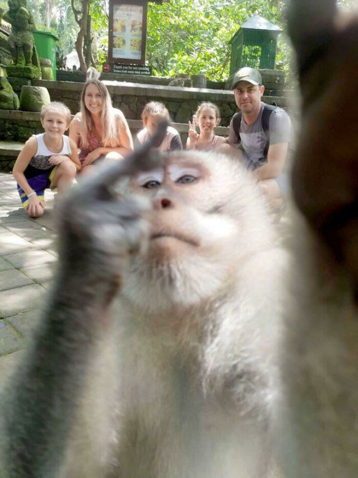 Funny monkey taking a selfie with a group of tourists, showing playful behavior in front of the camera.