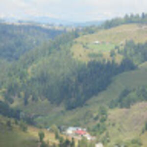 andreeamaftei avatar