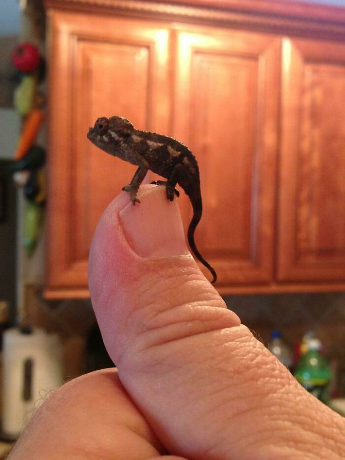 Everyone Loves A Newborn