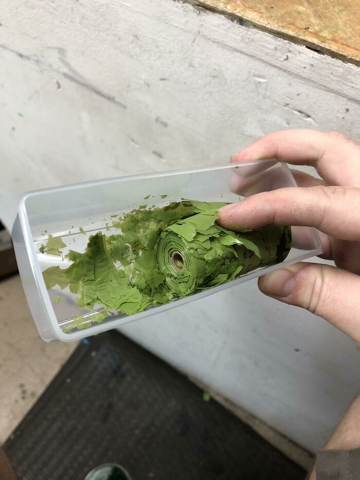 Just Found An Old Roll Of Biodegradable Poop Bags, They Really Do Disintegrate Like Advertised