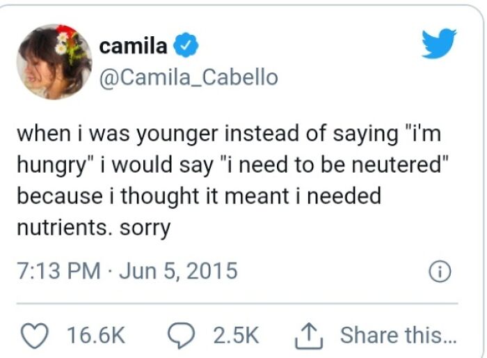 More Neuterings For Hungry Kids!