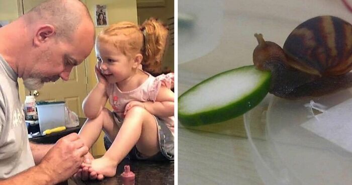 This Online Group Has People Sharing Only The Most Blessed Pics And It’s Like Internet Heaven (50 Pics)