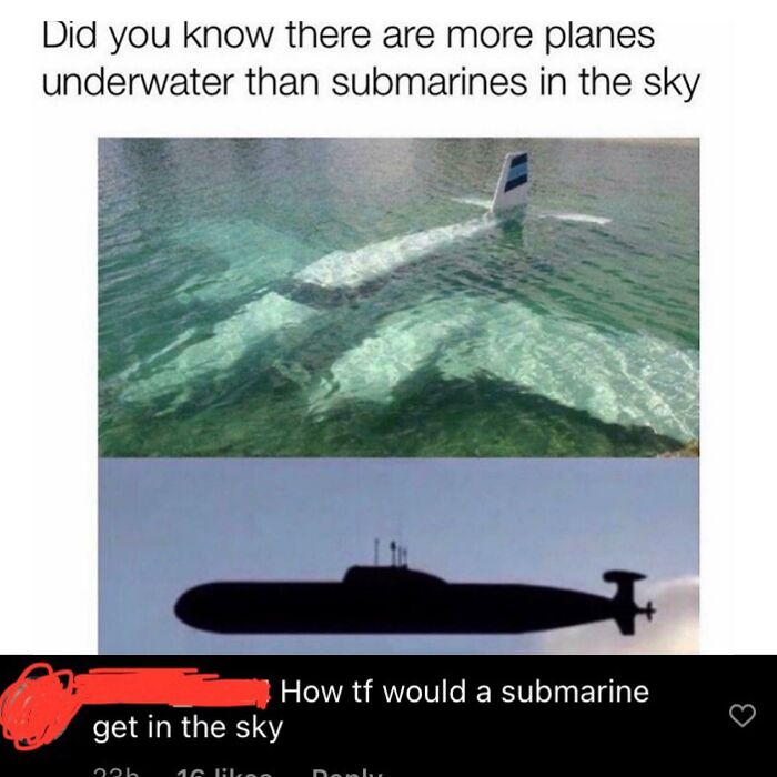 By Flying Up Obviously???