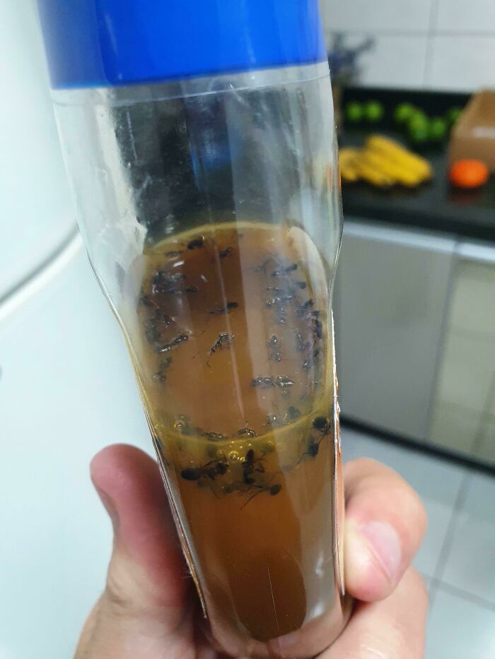 No Caramel For My Ice Cream I Guess