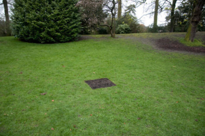 Dead Pixel In Google Earth