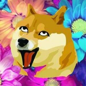 trungduc221008 avatar