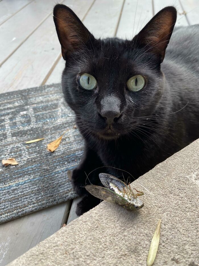 He Actually Thought I’d Want This