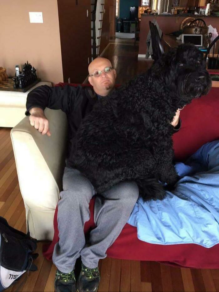 My Old Dog Was A Unit