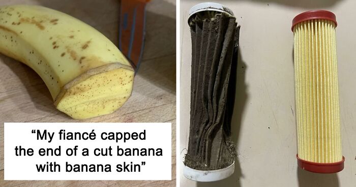 ‘Mildly Interesting’: An Online Group Exploring The Weird And Wonderful Side Of Everyday Life (50 New Pics)