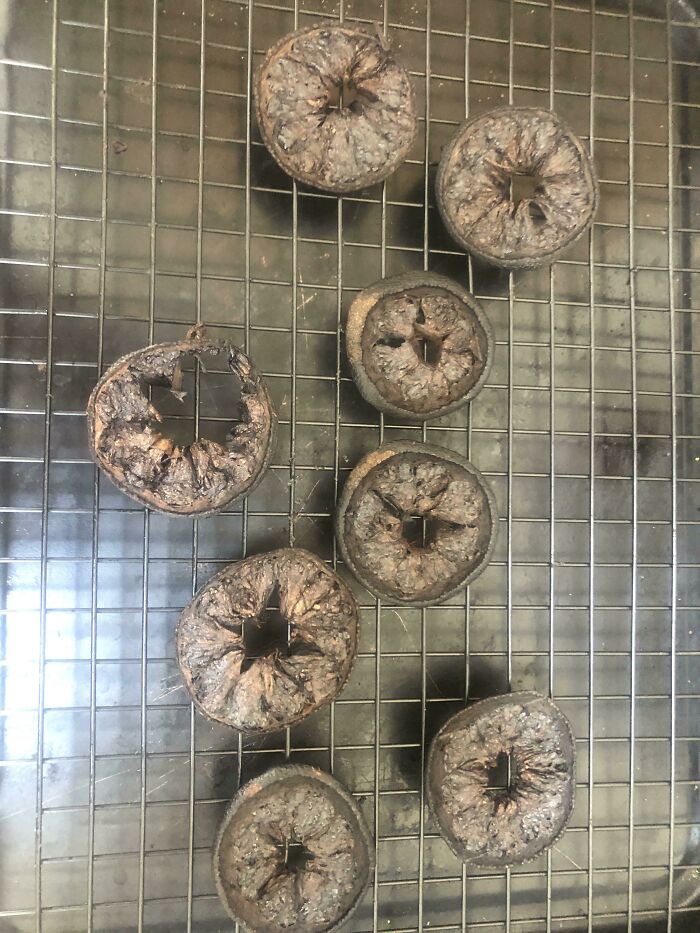 Forgot About My Dehydrated Lemons In The Oven And Proceeded To Preheat It For Some Chicken Tenders. Was Left With This