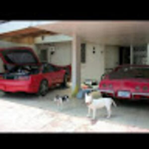 armandocardoso avatar