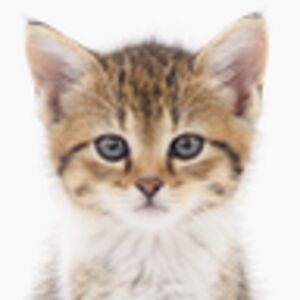 chloemcmillan avatar