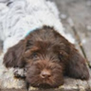 finleyhendrick avatar