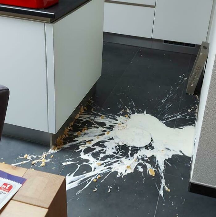 I Just Made A Cheesecake And When I Wanted To Put It In The Fridge The Bottom Fell Out Of The Mold