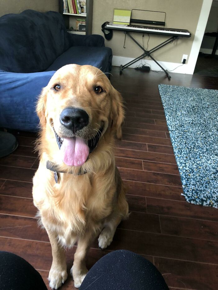 Just Adopted This 16 Month Old Charmer! Would Love Your Tips