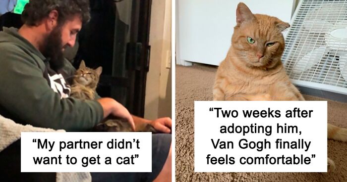 50 Wholesome Rescue Pet Pics To Heal Your Soul (August Edition)