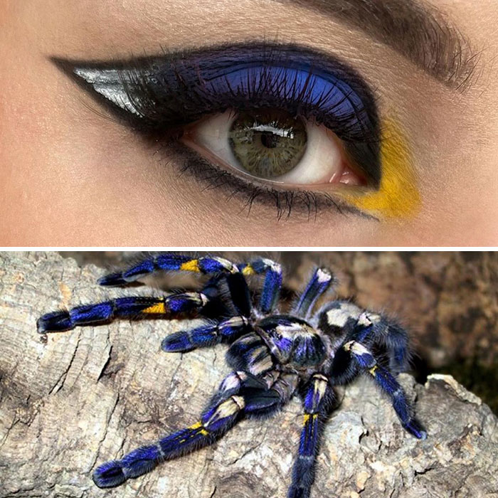 Bug-Inspired-Eye-Makeup-Duran-Jay-Entomakeup