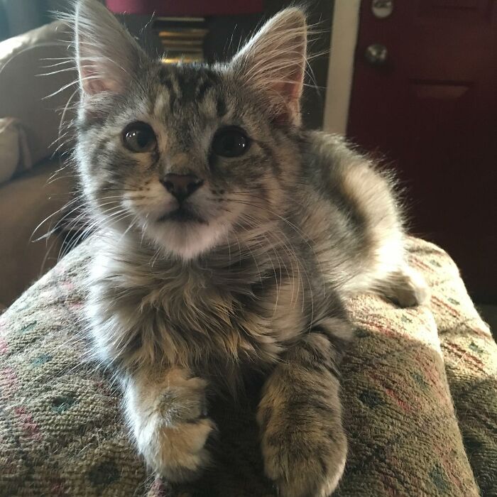 The Best Little Face Ever!!