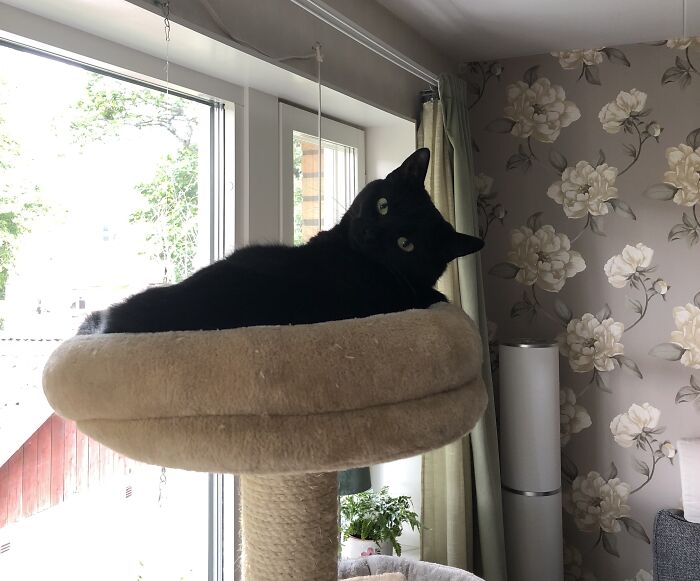 Thanks My Bff! My Bestest Place In The Entire Apartment!!!