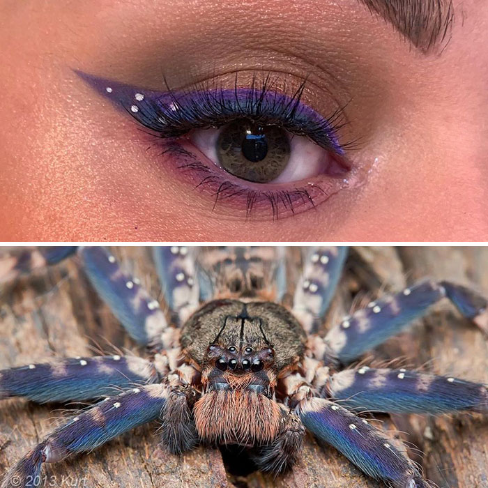 Bug-Inspired-Eye-Makeup-Duran-Jay-Entomakeup