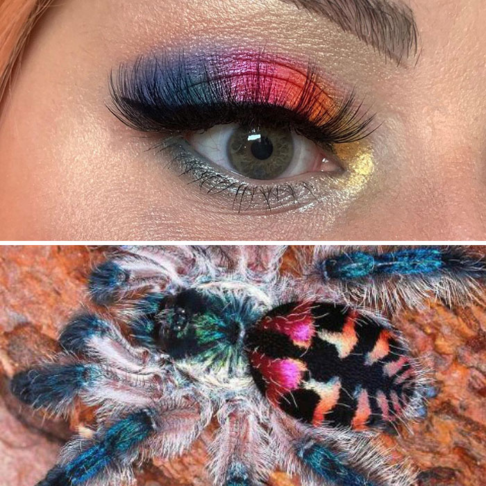 Bug-Inspired-Eye-Makeup-Duran-Jay-Entomakeup