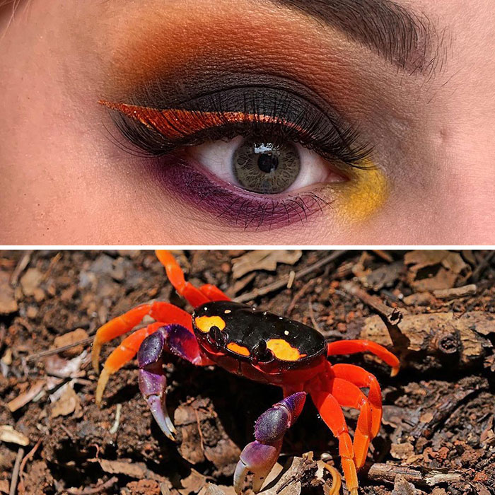 Bug-Inspired-Eye-Makeup-Duran-Jay-Entomakeup