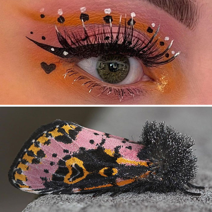 Bug-Inspired-Eye-Makeup-Duran-Jay-Entomakeup