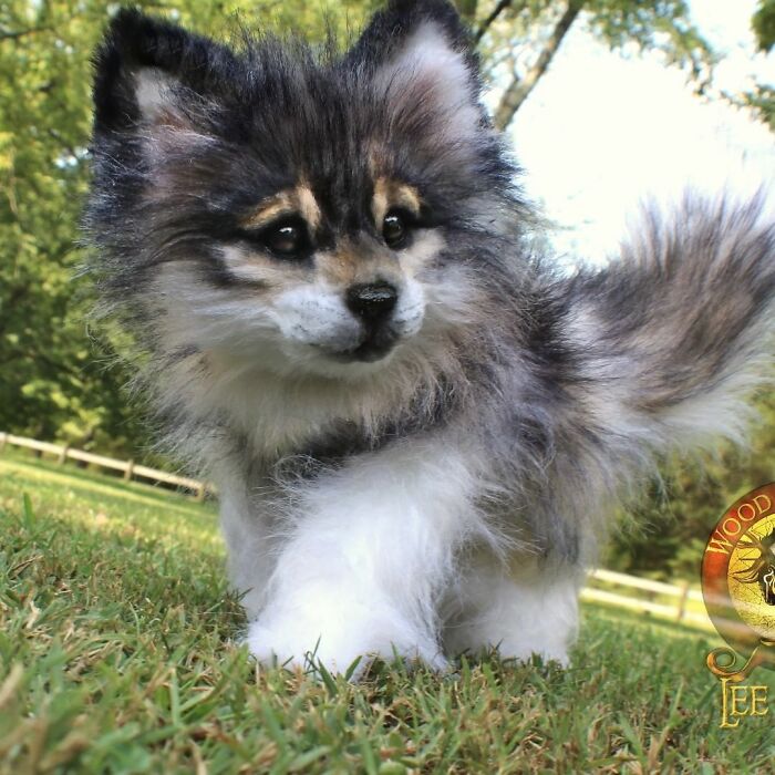 Meet Lee Cross's "Living" Sculptures (135 Pics)