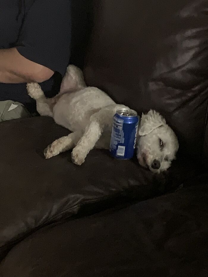 Forgot This One! He Is Sleeping With His Eyes Open