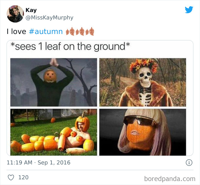 People-Who-Hate-Summer-Cant-Wait-For-Fall