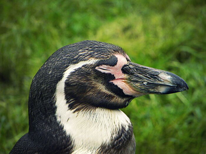 I Love Taking Photos Of Animals! 🙂