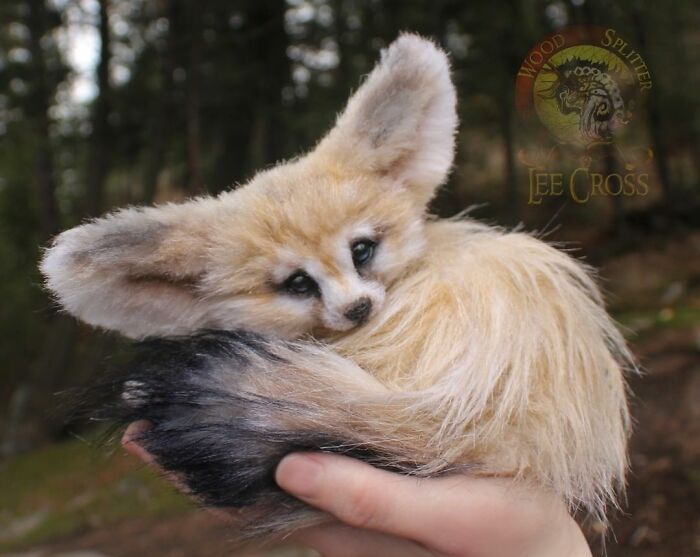 Meet Lee Cross's "Living" Sculptures (135 Pics)