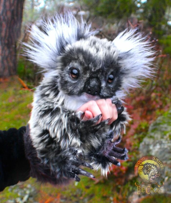 Meet Lee Cross's "Living" Sculptures (135 Pics)