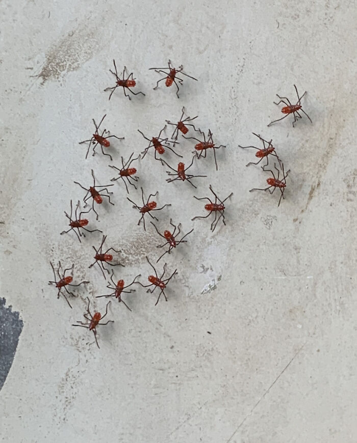 These Guys Doing Whatever They’re Doing