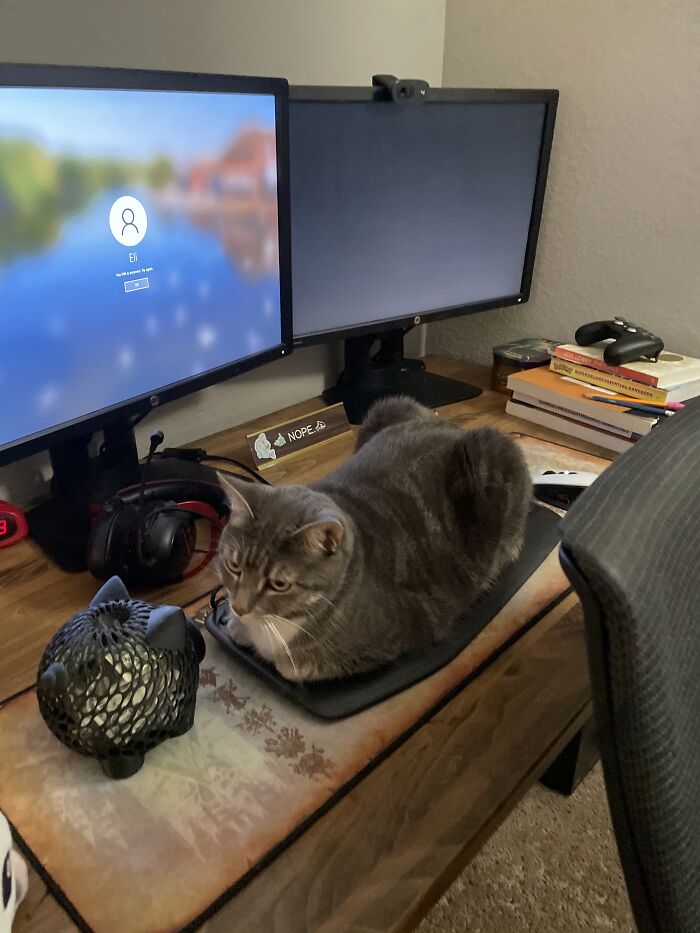 She Won’t Get Off.