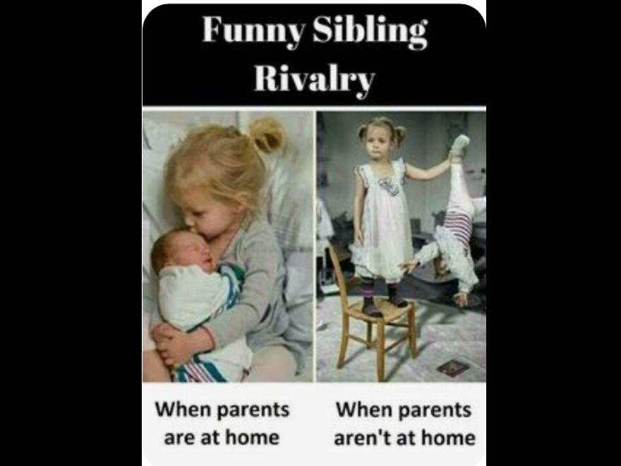 15 Meames To Make You Laugh