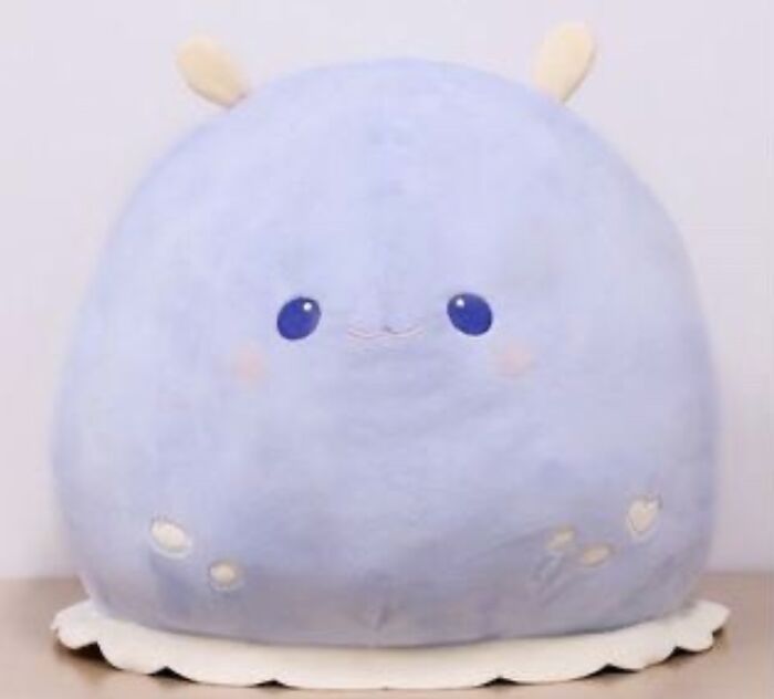 This Giant Sea Slug Plush, He Hasnt Arrived Yet But I Got Him Instead Of A Beanbag Hes 120 Cm All Round 😂