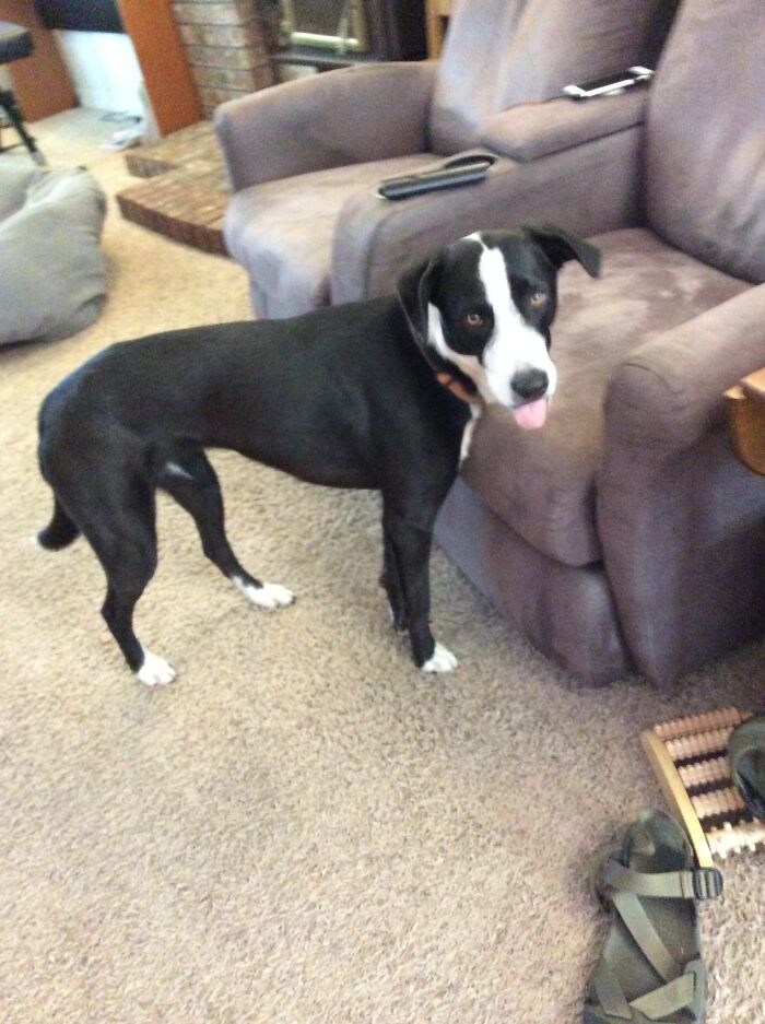 My Little Derp Tilly. 🥰