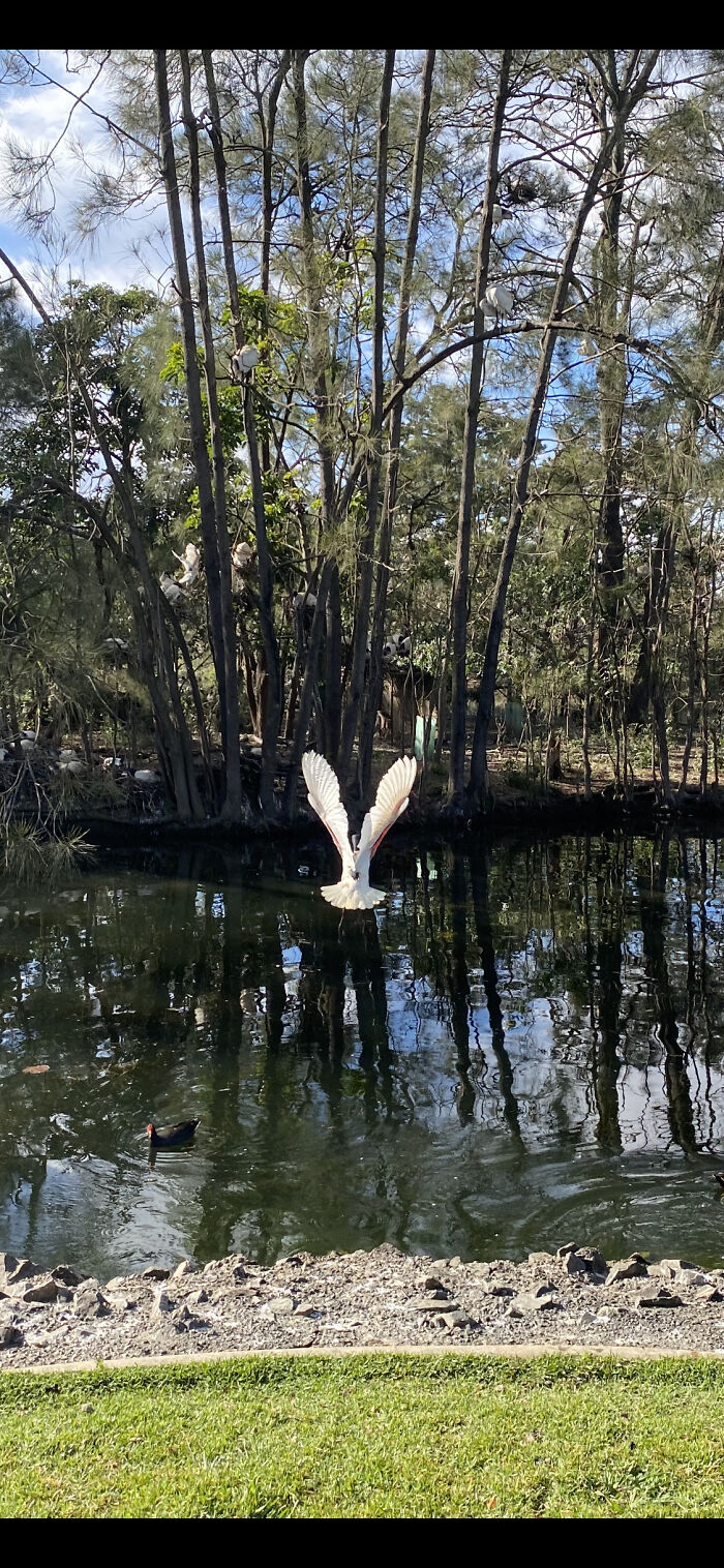 I Took This Photo At Our Local Park Where We Walk The Dog