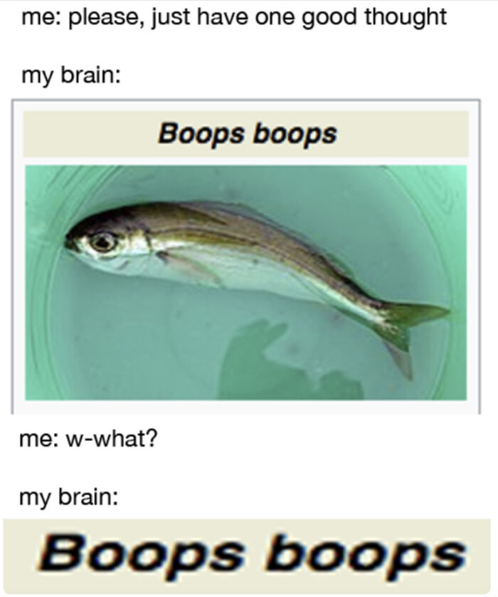 Cackled At This For A Good 5 Minutes