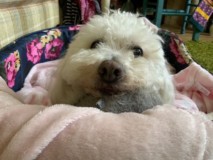 He Always Looks Derpy 😂