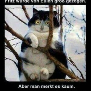 nadinebamberger avatar