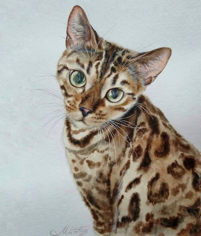 "A Homeless Artist Who Is Always On The Go"