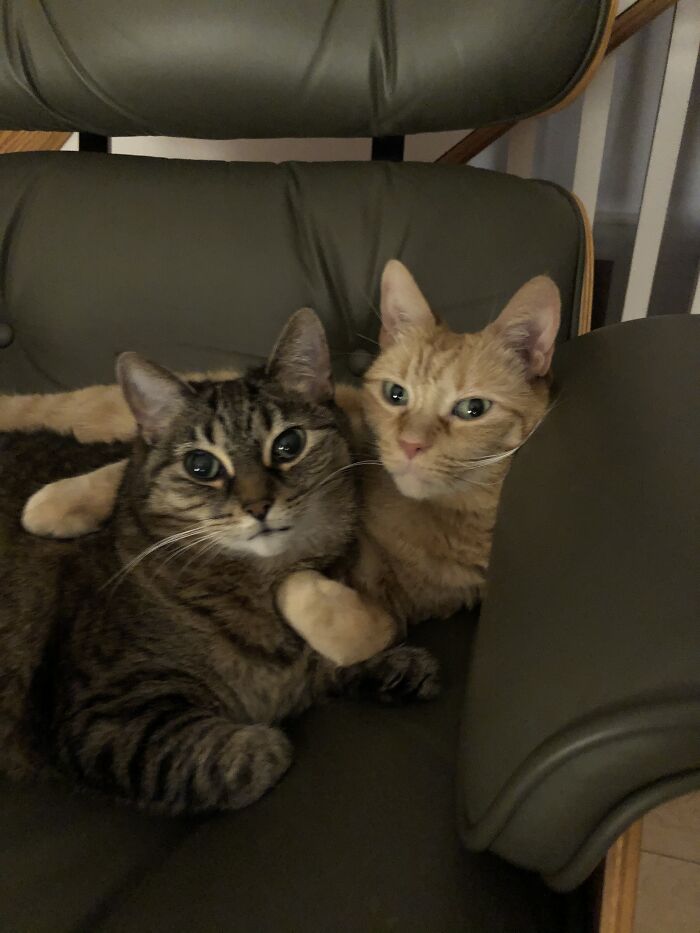 We're Trying To Sleep, Here!