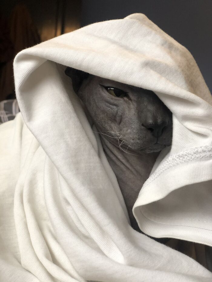 What Are You Doing Human?