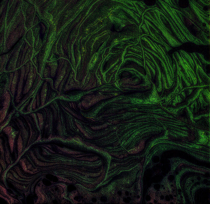 Alien Neurons By Courtney And A Canvas