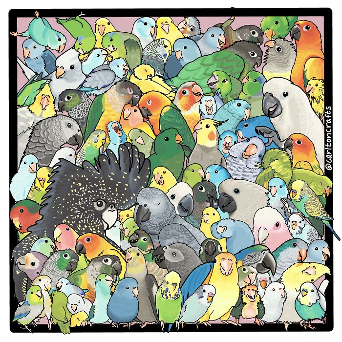 One Year And Over 200 Parrot Commissions Later!