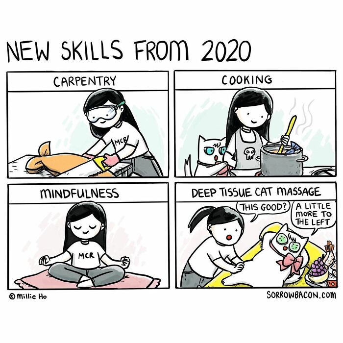 Comic illustrating new skills from 2020 including carpentry, cooking, mindfulness, and deep tissue cat massage with funny twists.